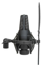sE Electronics X1S Studio Microphone (Vocal Pack)