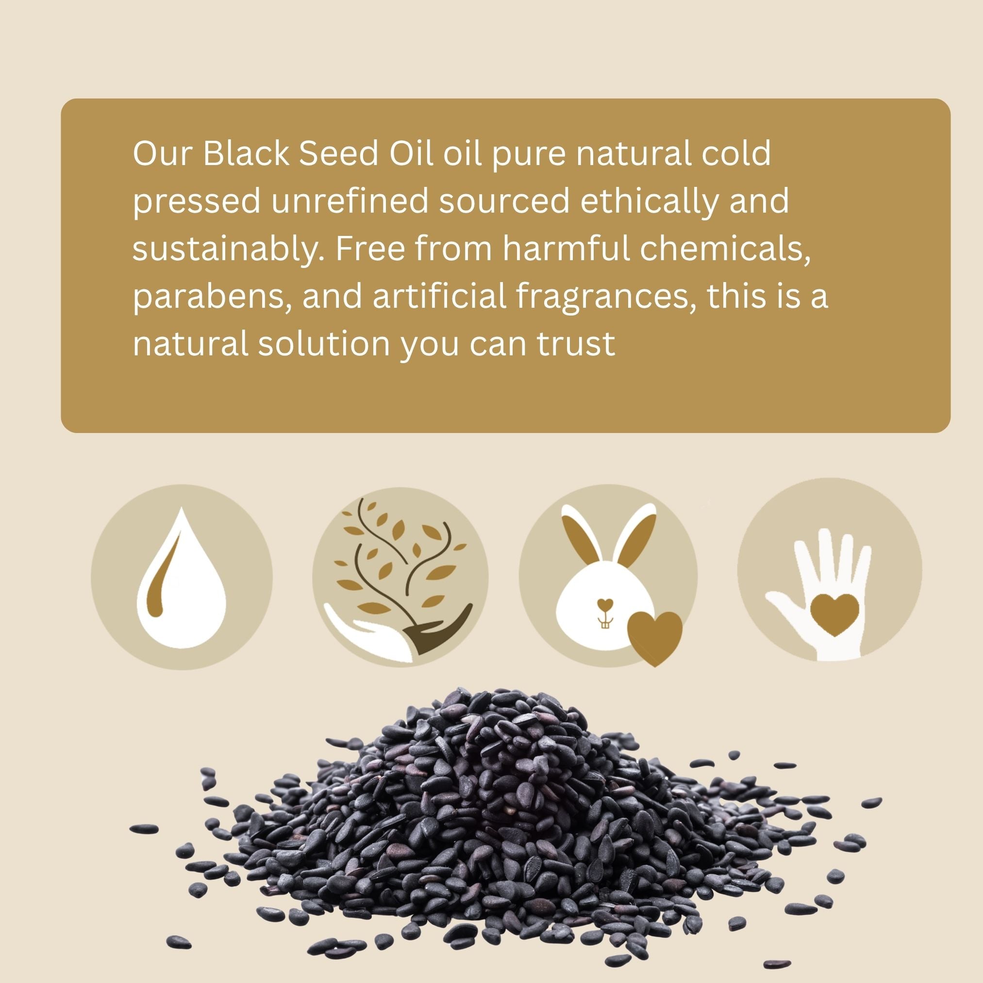 Black Seed Oil (organic, cold pressed, unrefined)